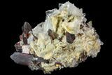 Brookite and Quartz Crystal Association- Pakistan #111341-1